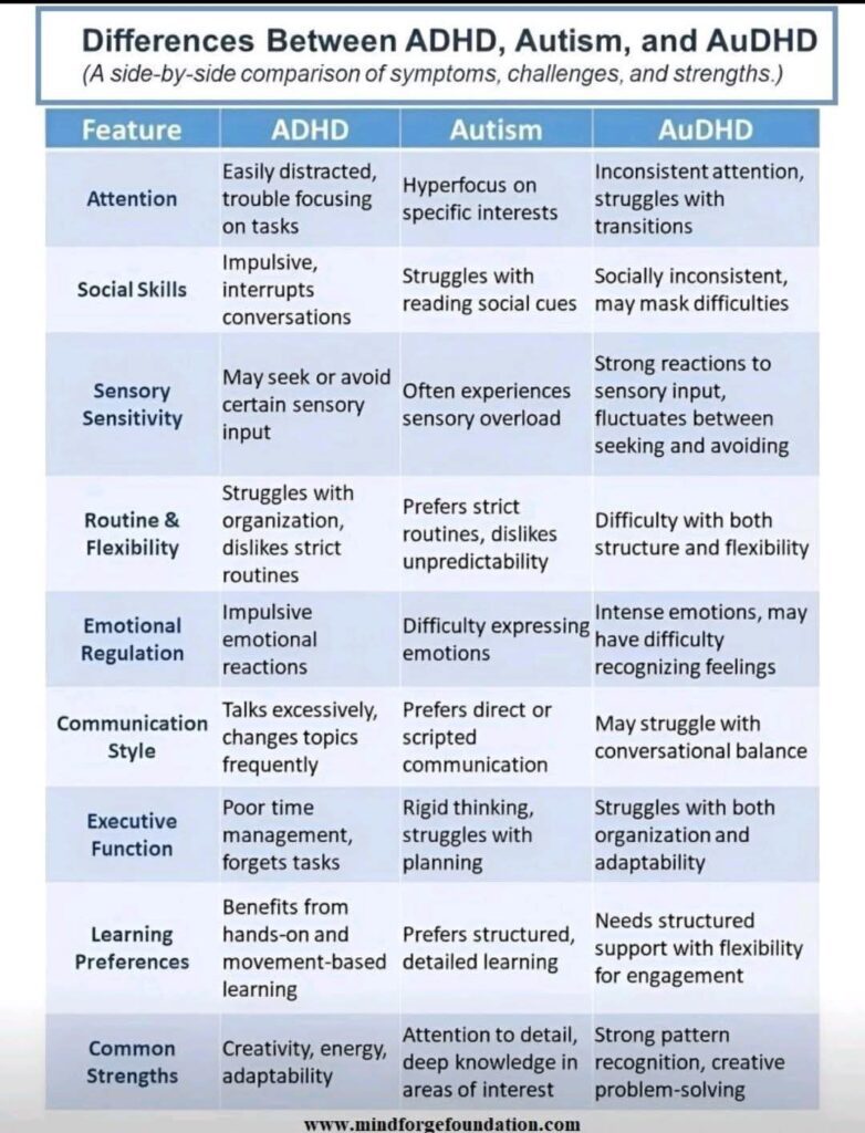 Autism, ADHD, and AuDHD differences
